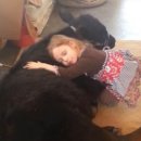 송아지집 이미지