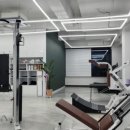 베리 핏 피티 이미지