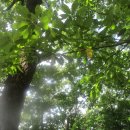 아비송모텔 이미지