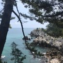 참사랑노인복지센터 이미지