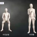 [EBS명의] 무너진 뇌 무너진 일상 파킨슨병 2편 이미지