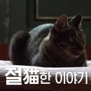 미륵농장 이미지