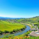 돌머리축산 이미지