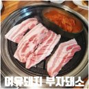여유돼지부자돼소