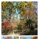 존자암지 이미지