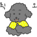 뉴드림렌트카 이미지