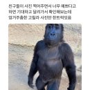 호텔 르메르 이미지
