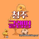 펫 노리터 | 청주 캠핑 &amp; 글램핑 BEST: 아이와 반려동물도 행복한 휴식 스팟!