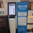 치킨히어로즈 | 홍천 소노벨 비발디파크 C동 벚꽃축제 레전드히어로즈 비바플렉스 소노벨조식 앤트월드까지 꽉 찬 1...