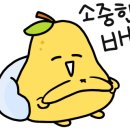 힘찬유황오리 이미지