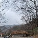 산마을다람쥐 | 안양 산마을캠핑장 A구역 뻐꾸기C 사이트 솔캠 후기