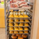 송송디저트 이미지