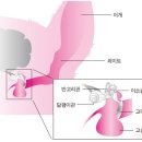 블레스동물메디컬센터 이미지