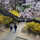 신포역 3번 출구 이미지