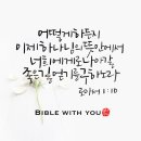 큐미디어