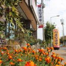 서울칼국수 이미지