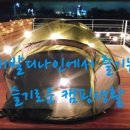 비발디나인