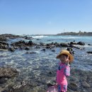 터닝포인트제주 이미지