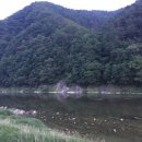 천제당민박 이미지