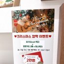 제천 코코사진관 / 청전동사진관 / 크리스마스컨셉으로 가족사진 찍은 내돈내산후기 !