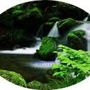 물소리새소리 이미지