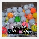 로스트볼365 | 로스트볼365 골린이 필수템｜공 기부 멈추게 한 로스트볼 100개 솔직 후기