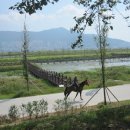 명지횟집 이미지