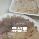 유성호활어회센타