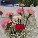 연제구-123 이미지