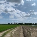 썬플라워 태양광발전소 이미지