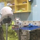 구미 JM 동물 메디컬 센터 이미지