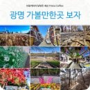 소원농장 | 광명 가볼만한곳 | 아이와 여름 데이트, 광명동굴 &amp; 게으른농장 체험 후기