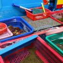 자유시장 화장실 이미지