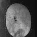 기장i동물의료센터 이미지