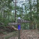 충북알프스 (서원리 - 천왕봉 - 운흥리)