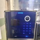 성원 쌍떼뷰 이미지