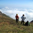 개구쟁이 이미지