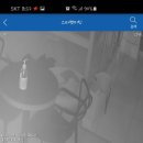 스타펫미팅 이미지