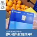 성황태권도장 | 평택시민기자단 | 평택사랑카드 2월에도 소비지원금 10% 캐시백!