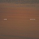 엄마의 바다