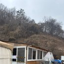 산새음 네이버블로그