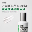 덤 대리점