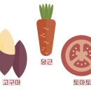 건강운동식이요법