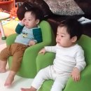 서준