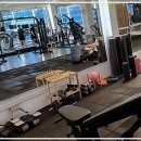 디와이짐 PT 안산점 이미지