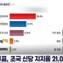 조국신당 주가 급등, 비례 지지율 21%…개혁신당은 5.3% 이미지