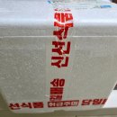[내돈내산] 진동 미더덕 맛집 명성수산 택배 솔직후기
