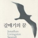갈매기의 꿈 이미지