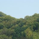 세중초등학교 이미지