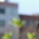 성모맑은숨이비인후과의원 이미지